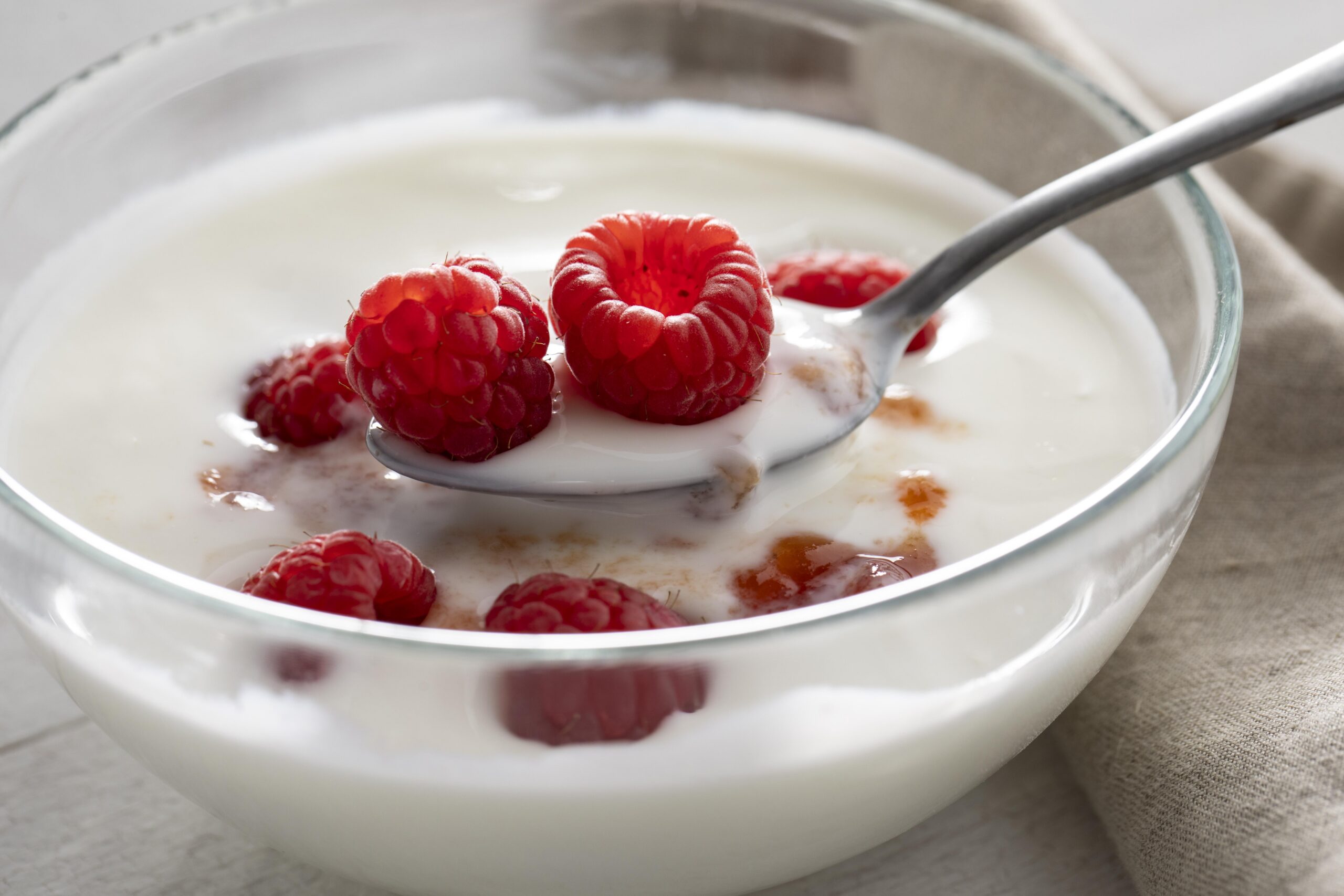 Dairy products and yoghurt